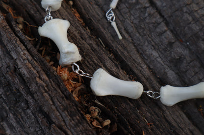 Whitetail Deer Tail - Fluid Articulation