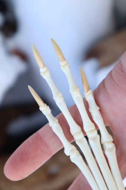 Red Fox Paw Articulation in Antique Box