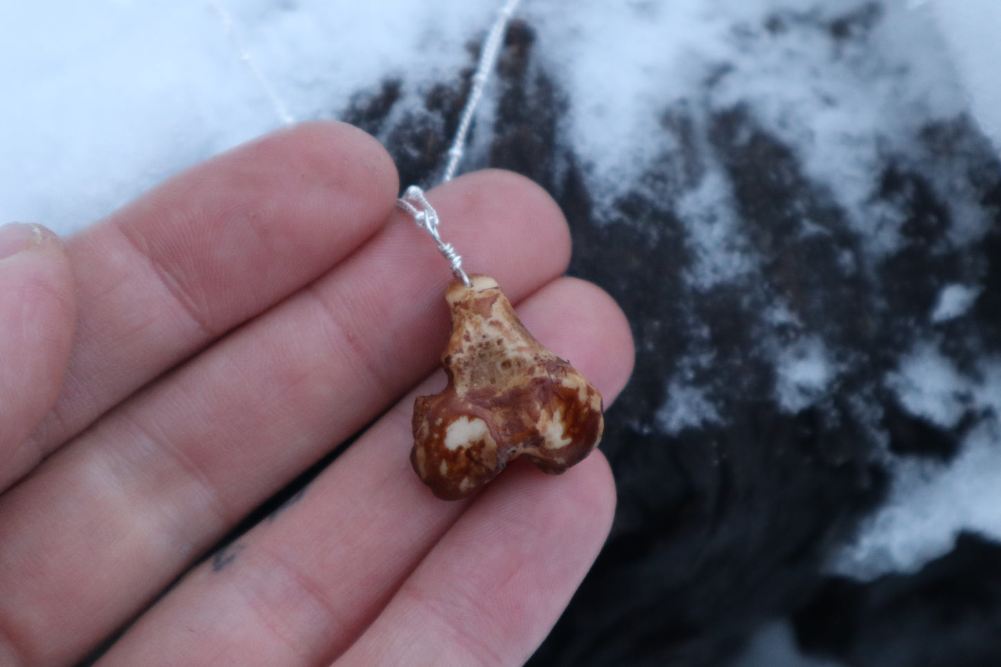 Red Fox Tibia and Sunstone Necklace