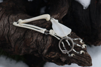 Domestic Kitten Arm Fluid Articulation with Ouroboros Ring