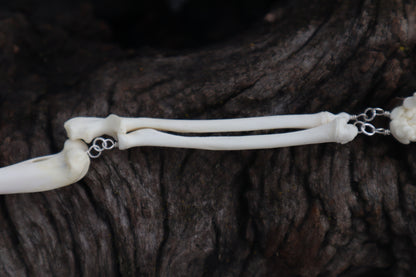 Domestic Kitten Arm Fluid Articulation with Ouroboros Ring