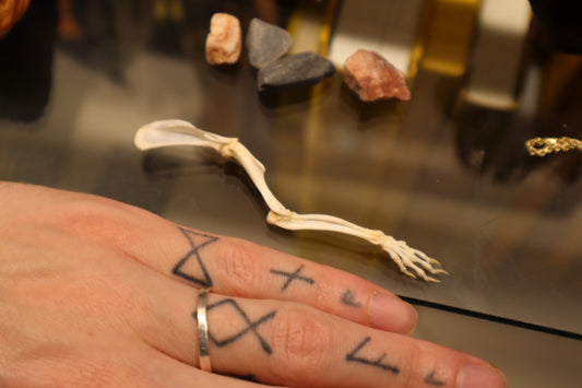 Rat Arm Articulation
