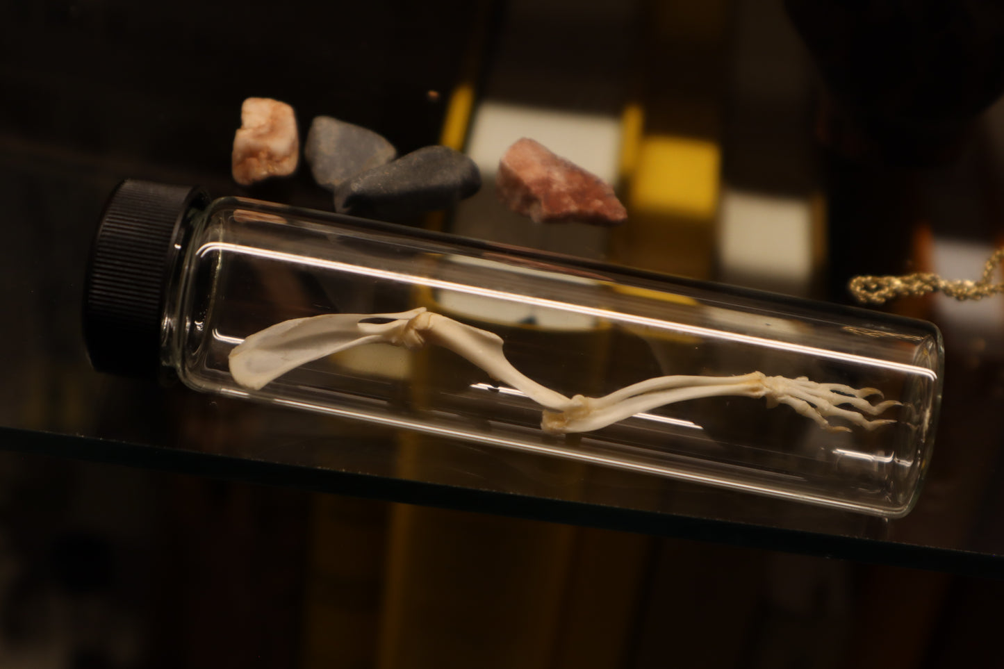 Rat Arm Articulation