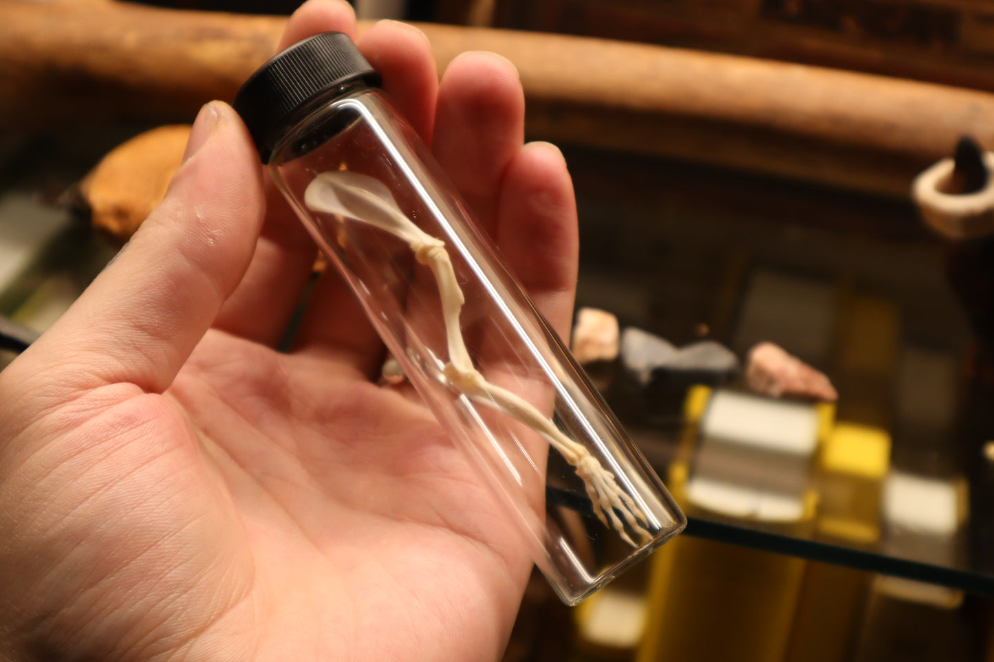 Rat Arm Articulation