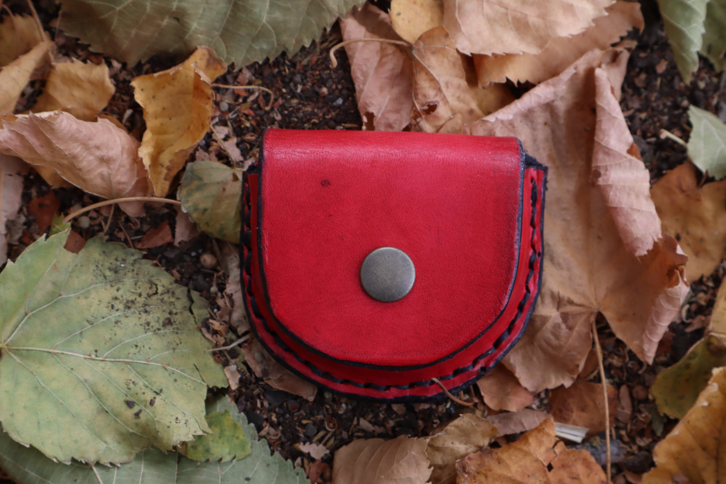 Mountain Lion Bone Divination Set - Red and Black