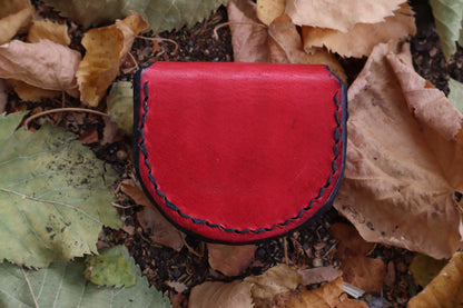 Mountain Lion Bone Divination Set - Red and Black
