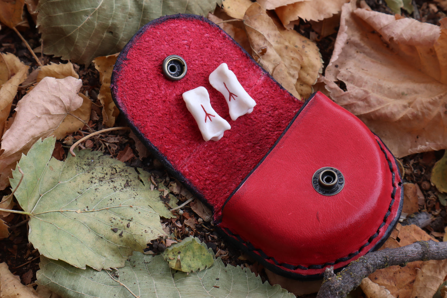 Mountain Lion Bone Divination Set - Red and Black