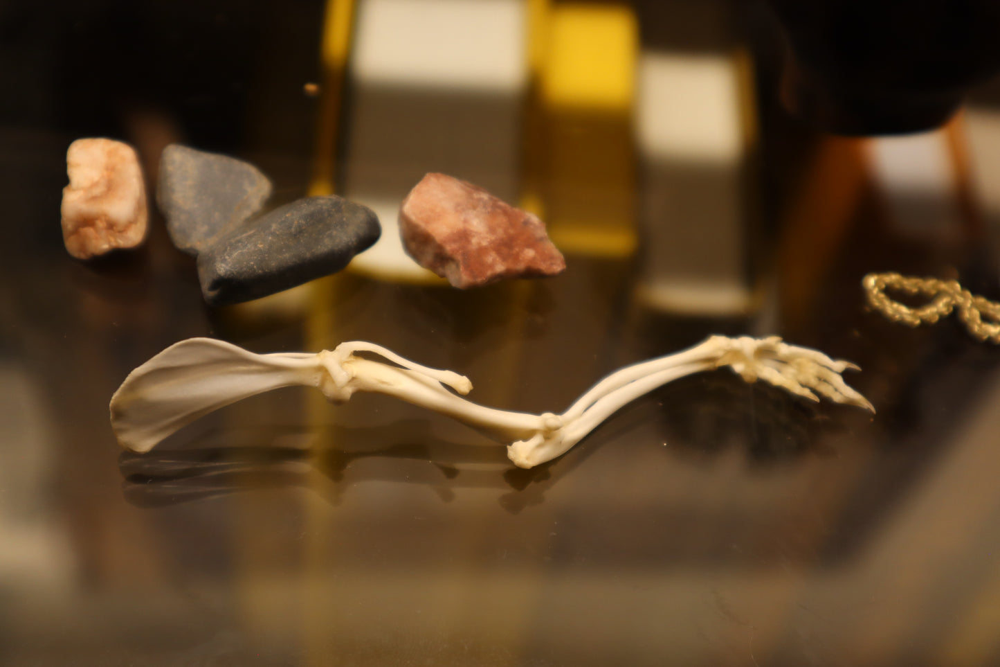 Rat Arm Articulation
