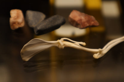 Rat Arm Articulation