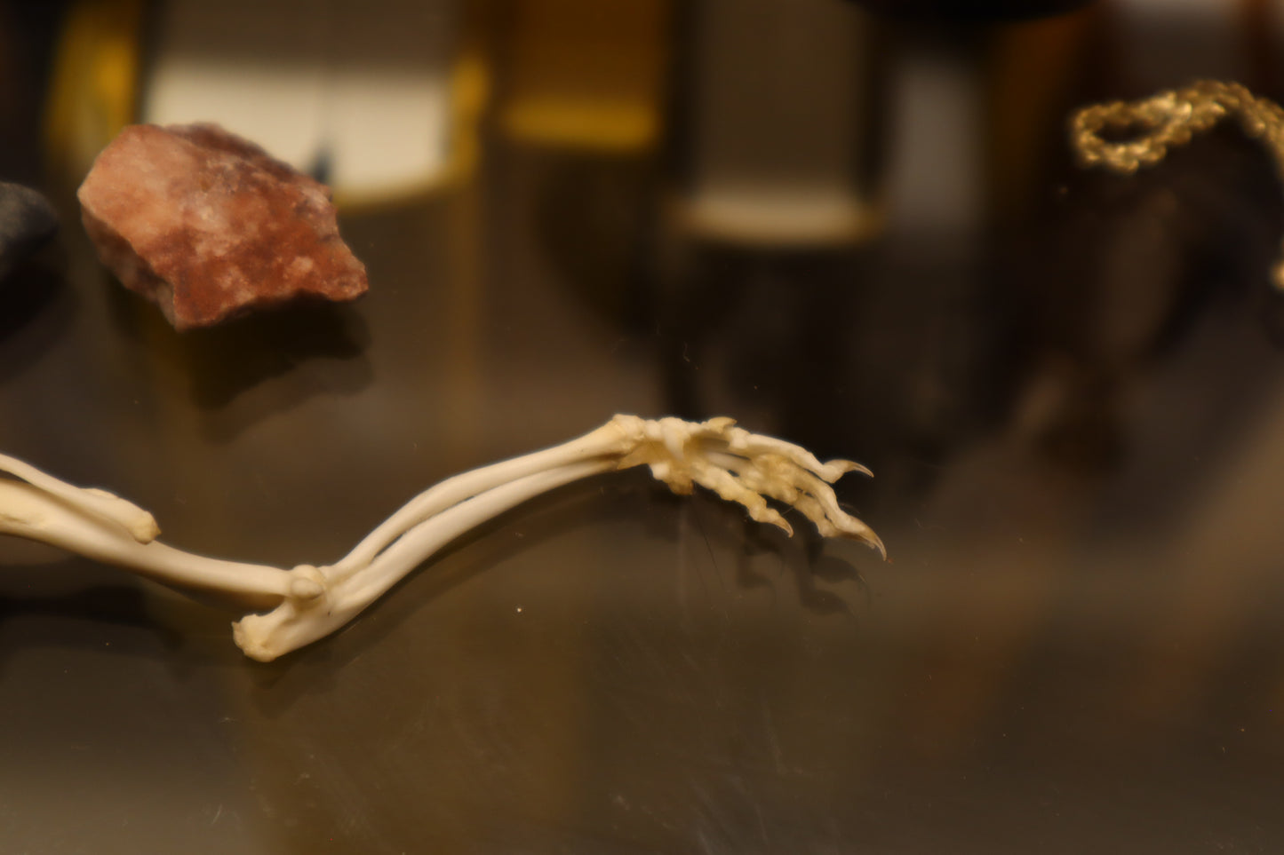 Rat Arm Articulation