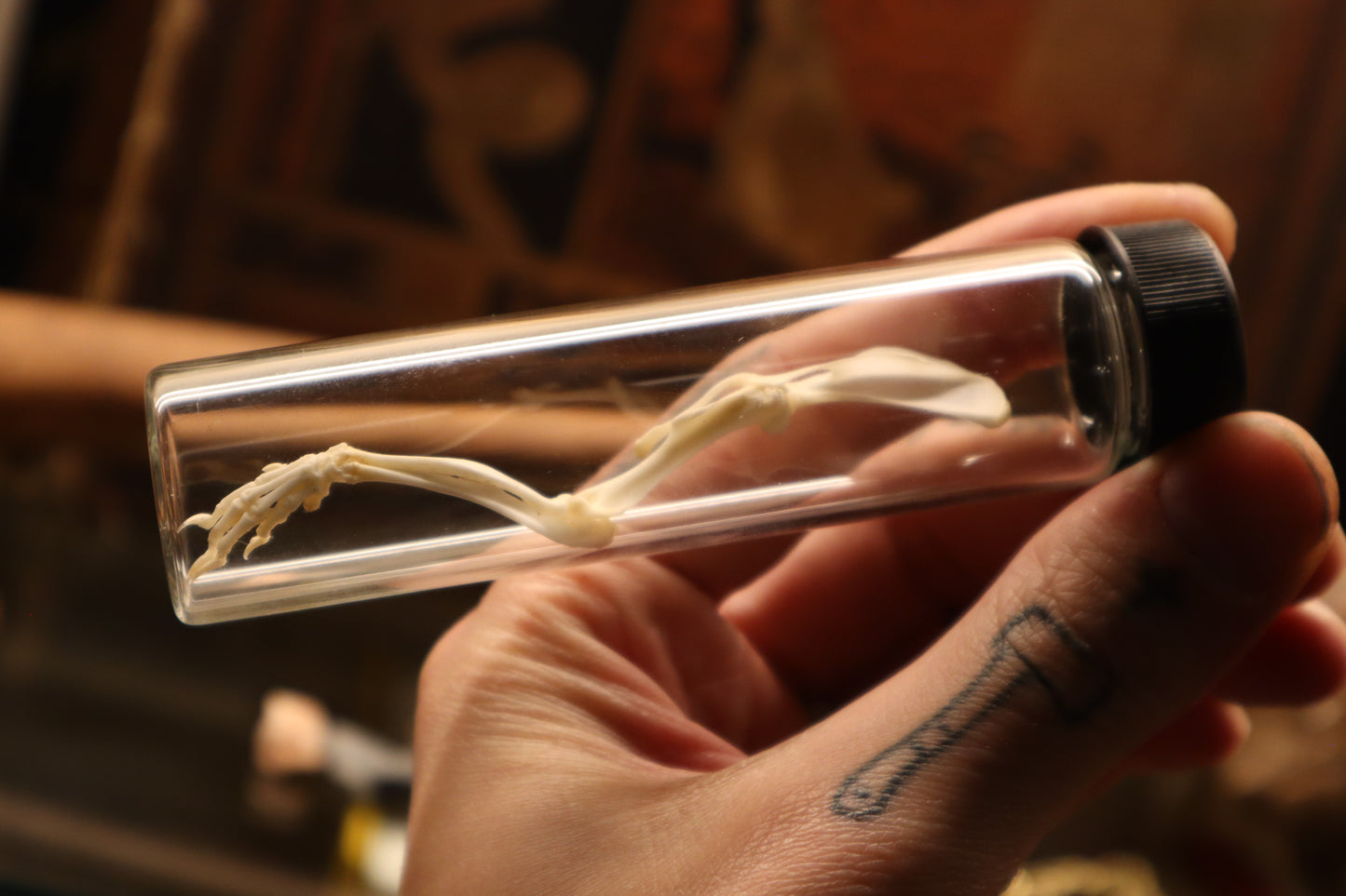 Rat Arm Articulation