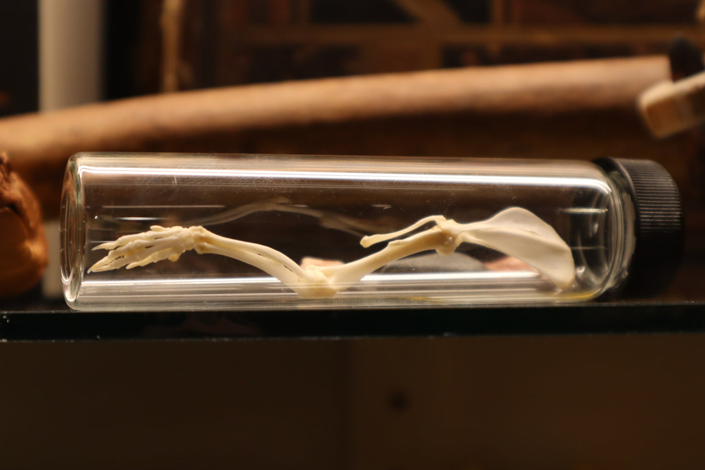 Rat Arm Articulation