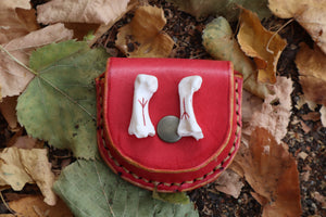 Mountain Lion Bone Divination Set - Red and Yellow