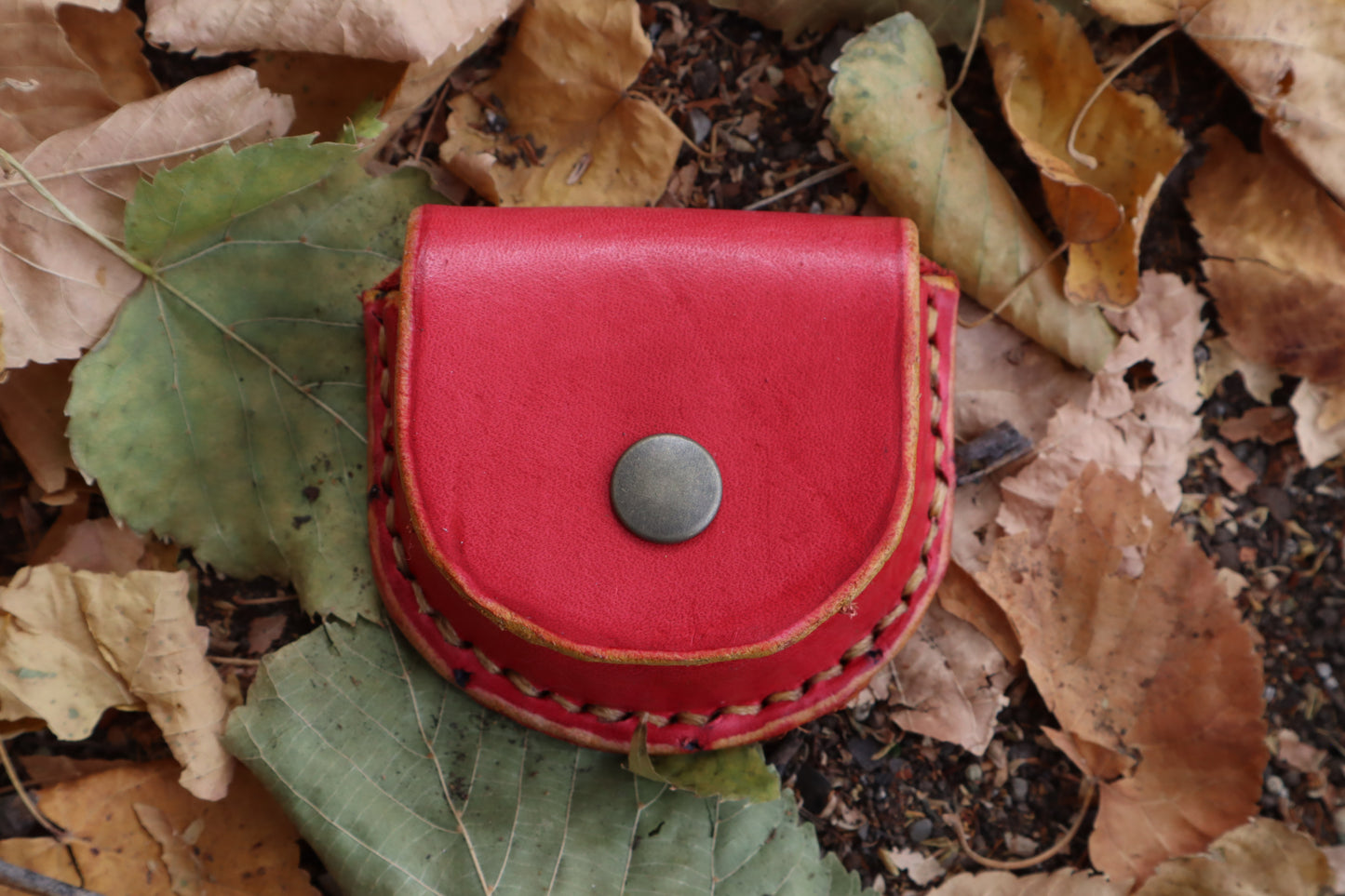 Mountain Lion Bone Divination Set - Red and Yellow