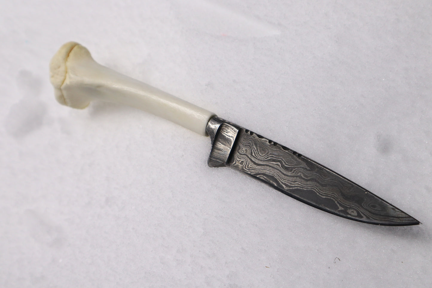 Damascus Whitetail Fawn Eye Knife