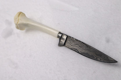Damascus Whitetail Fawn Eye Knife
