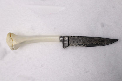 Damascus Whitetail Fawn Eye Knife