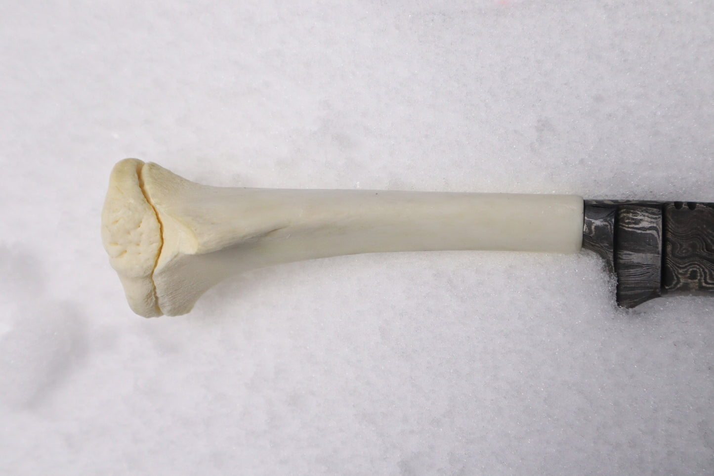 Damascus Whitetail Fawn Eye Knife