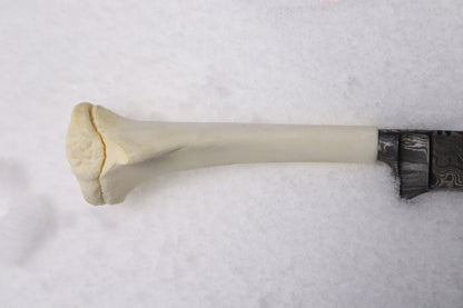Damascus Whitetail Fawn Eye Knife