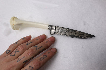 Damascus Whitetail Fawn Eye Knife