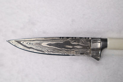 Damascus Whitetail Fawn Eye Knife