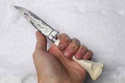 Damascus Whitetail Fawn Eye Knife