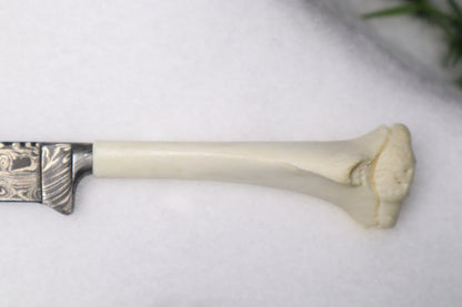 Damascus Whitetail Fawn Eye Knife
