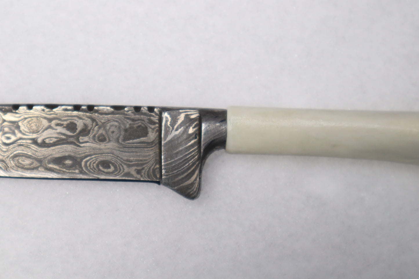 Damascus Whitetail Fawn Eye Knife