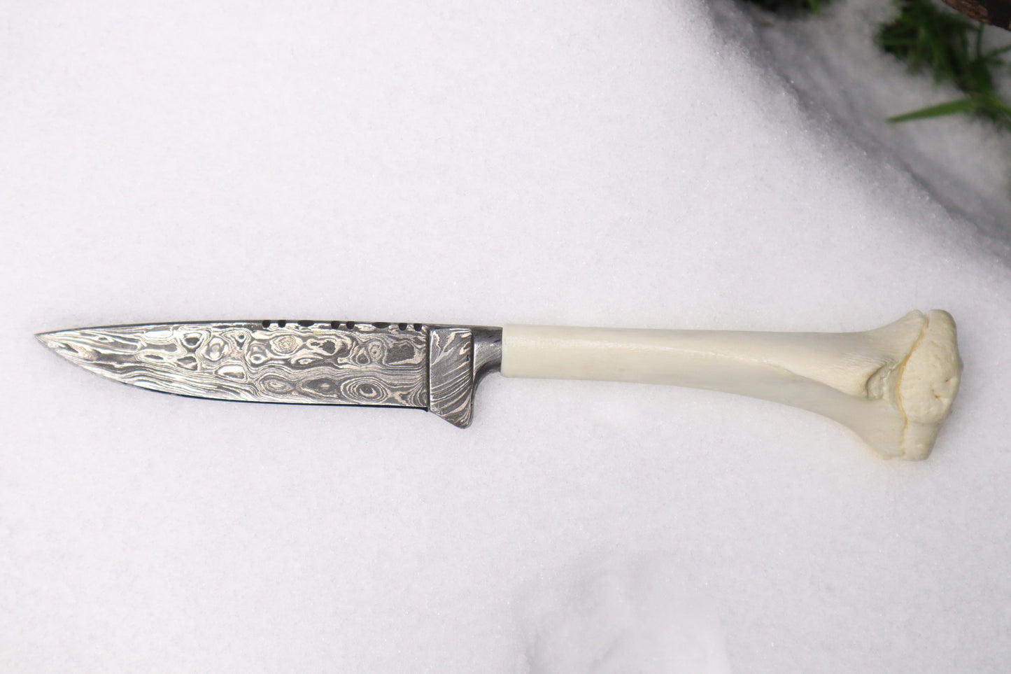 Damascus Whitetail Fawn Eye Knife