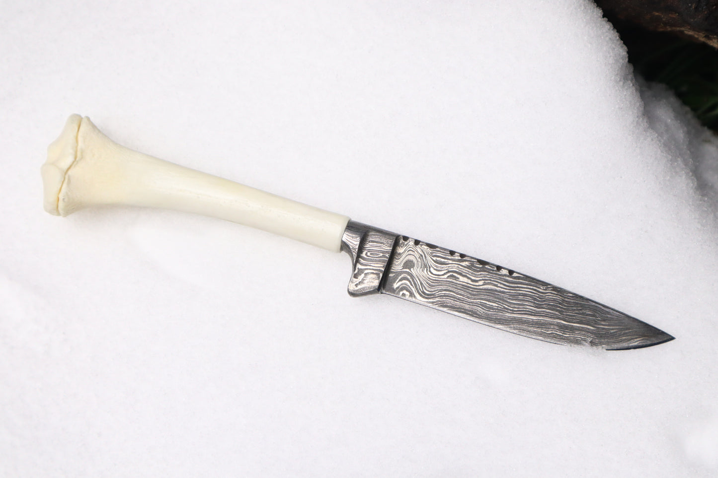 Damascus Whitetail Fawn Eye Knife