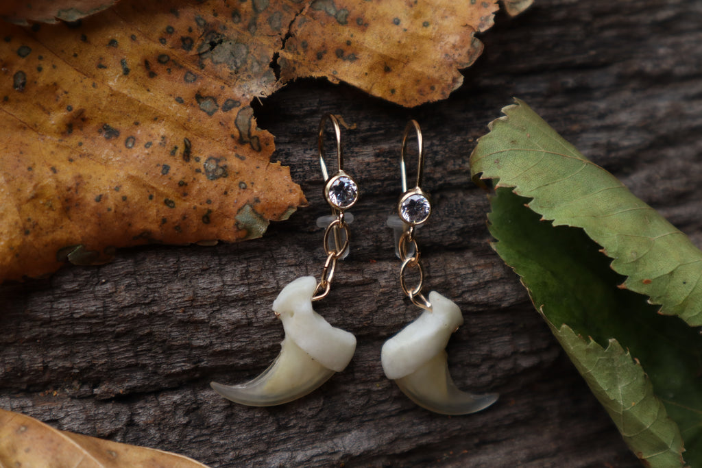 Bobcat Claw Earrings - 14k Gold filled and Cubic Zirconium