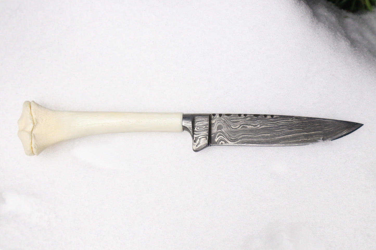 Damascus Whitetail Fawn Eye Knife