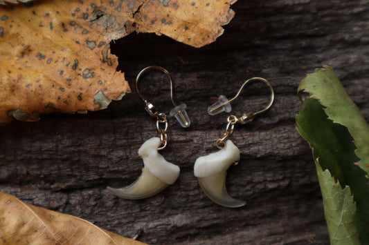 Bobcat Claw Earrings - 14k Gold filled and Cubic Zirconium