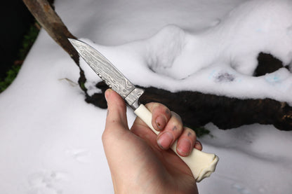 Damascus Whitetail Fawn Eye Knife