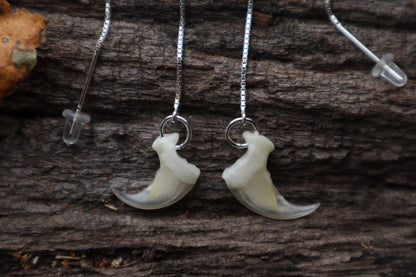 Bobcat Claw Earrings - .925 Silver