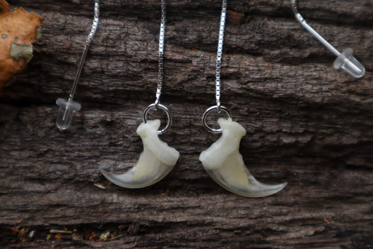 Bobcat Claw Earrings - .925 Silver