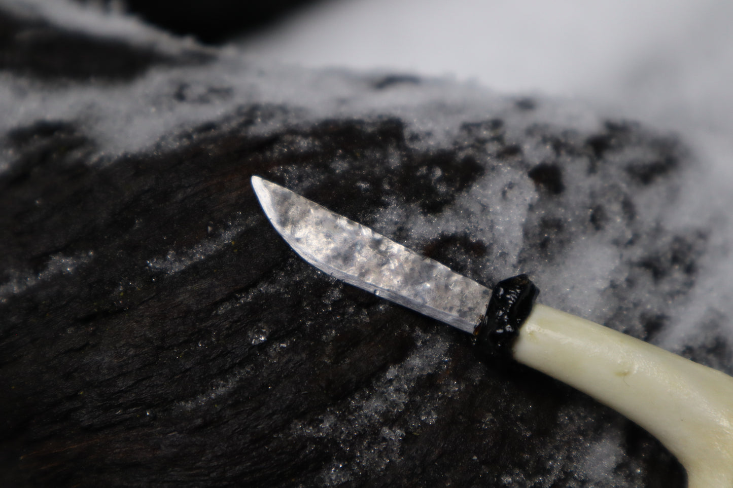 Kitten Humerus Knife