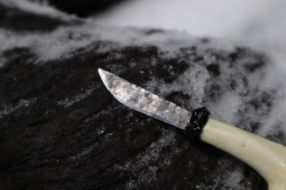 Kitten Humerus Knife