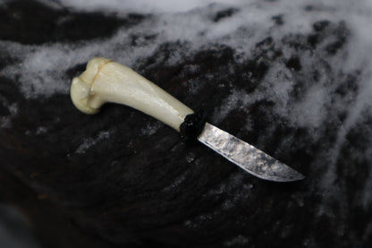 Kitten Humerus Knife