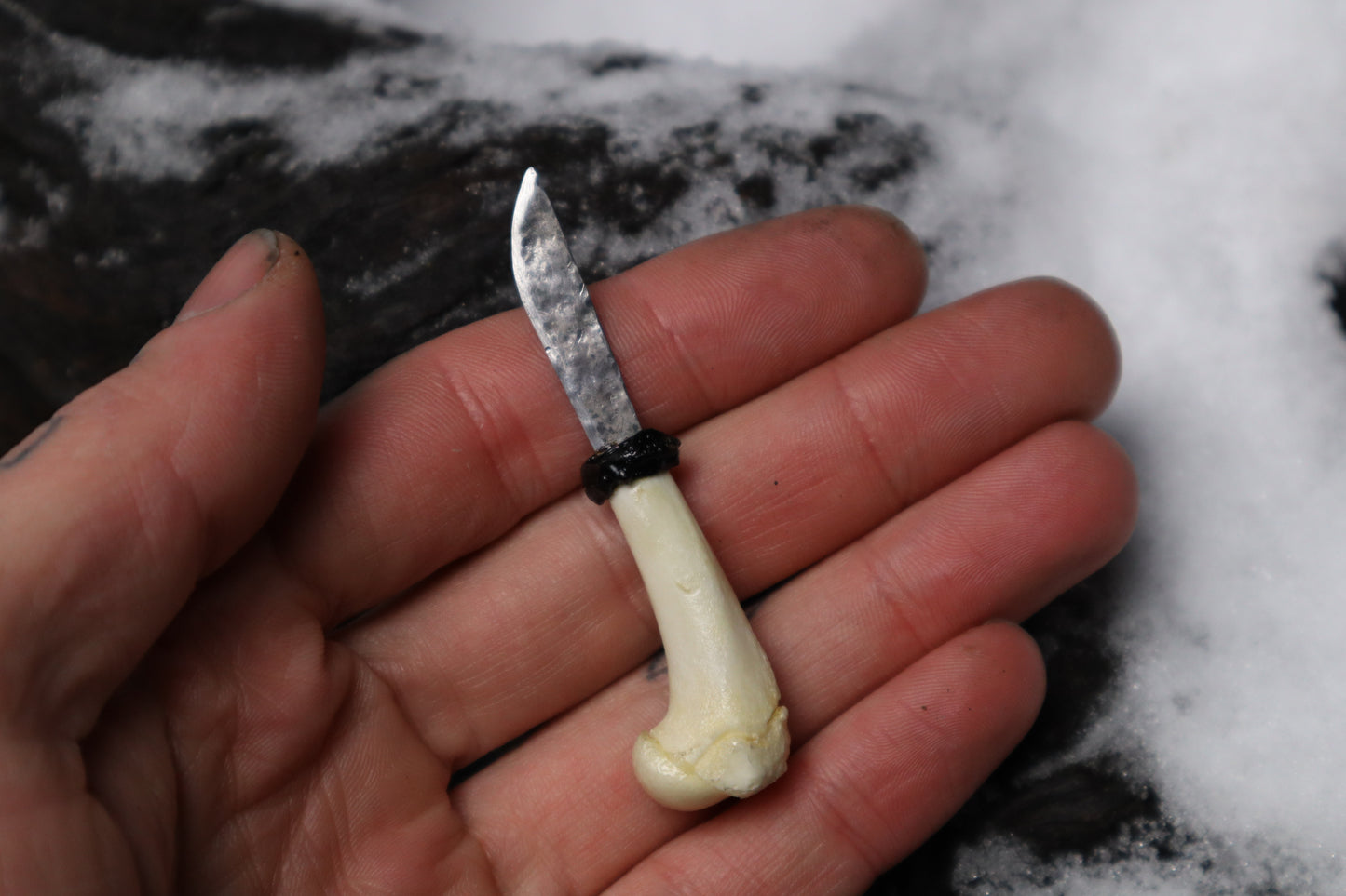 Kitten Humerus Knife