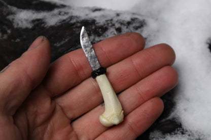 Kitten Humerus Knife