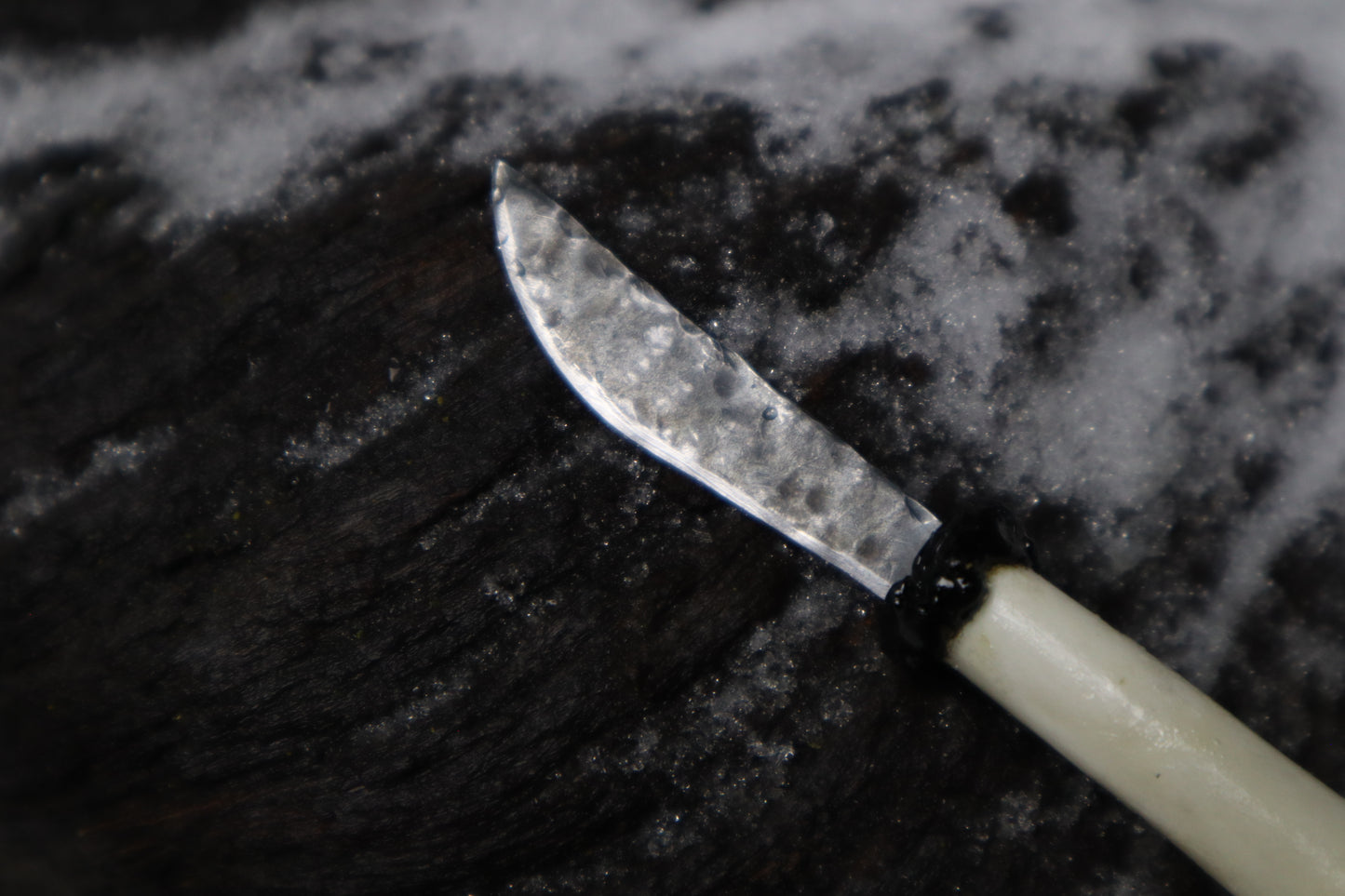 Kitten Femur Knife