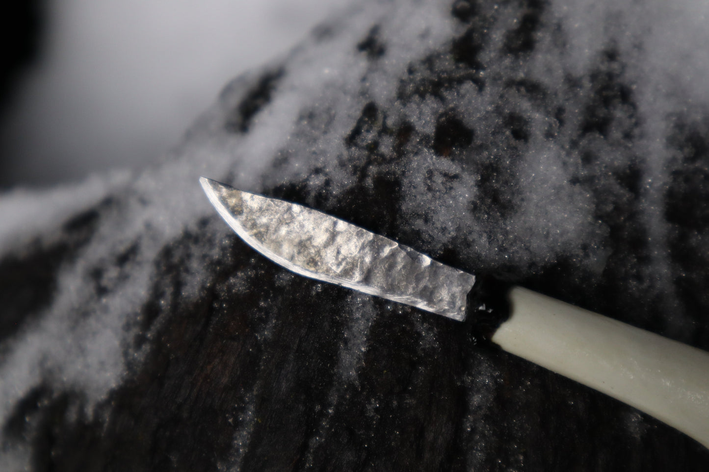 Kitten Femur Knife