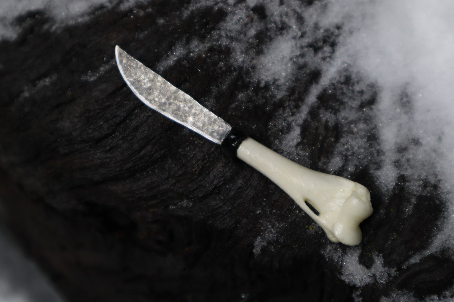 Kitten Humerus Knife