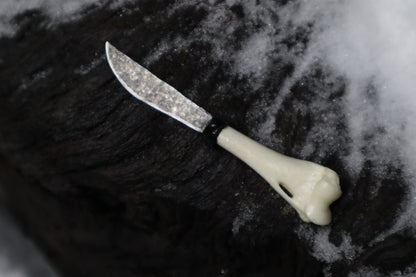 Kitten Humerus Knife