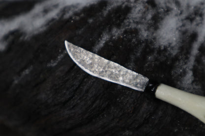 Kitten Humerus Knife