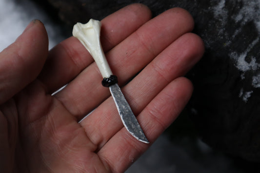 Kitten Humerus Knife