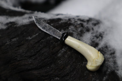 Kitten Humerus Knife
