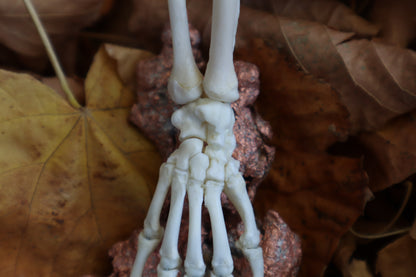 Opossum Paw Articulation with Native Copper Base