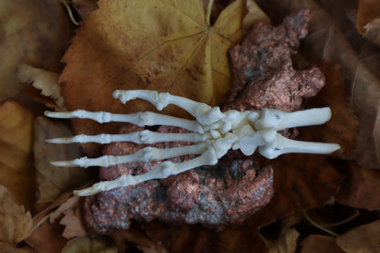 Opossum Paw Articulation with Native Copper Base
